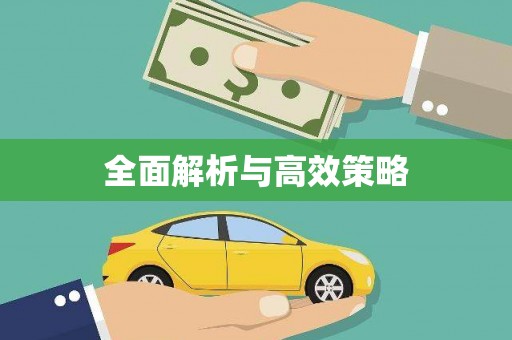 确山全面解析与高效策略