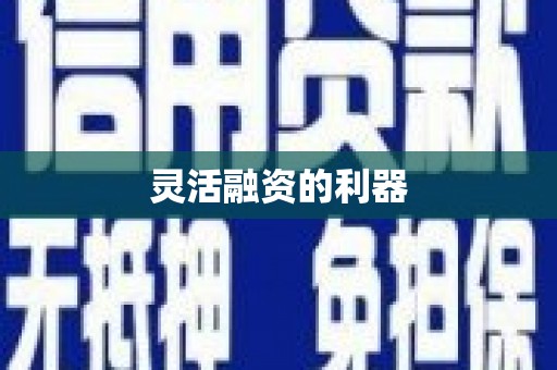 确山灵活融资的利器