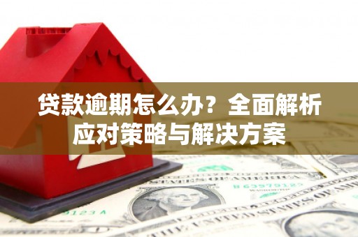 确山贷款逾期怎么办？全面解析应对策略与解决方案