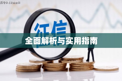 确山全面解析与实用指南
