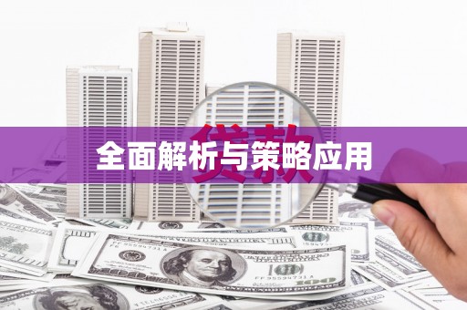 确山全面解析与策略应用