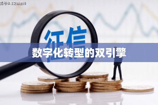 确山数字化转型的双引擎