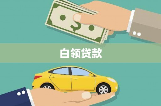 确山白领贷款