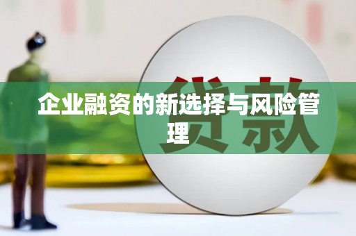 确山企业融资的新选择与风险管理
