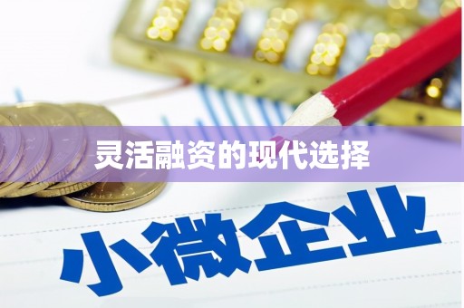 确山灵活融资的现代选择