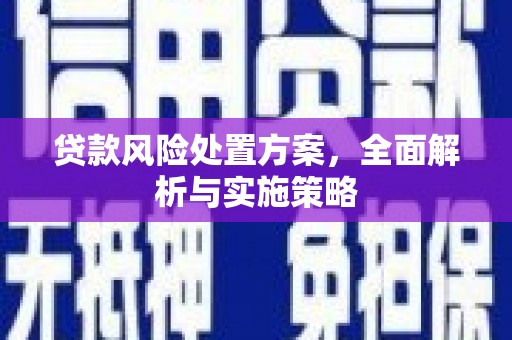 确山贷款风险处置方案，全面解析与实施策略