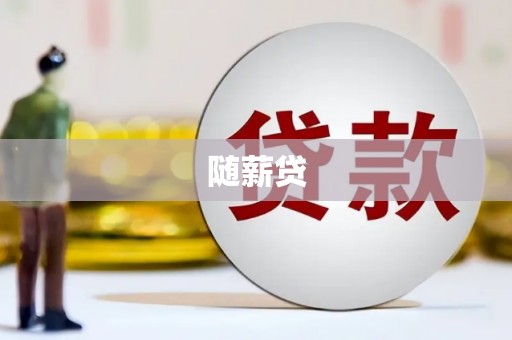 确山随薪贷