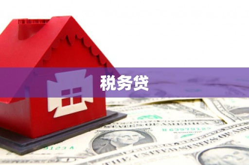 确山税务贷