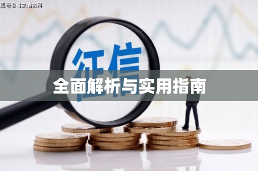 确山全面解析与实用指南