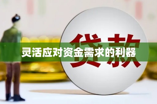 确山灵活应对资金需求的利器