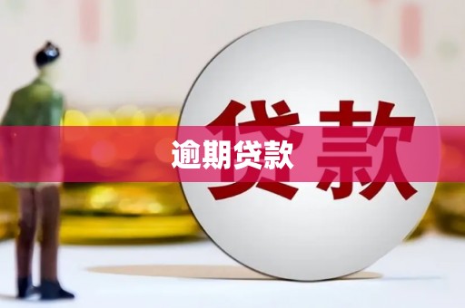 确山逾期贷款