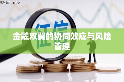 确山金融双翼的协同效应与风险管理