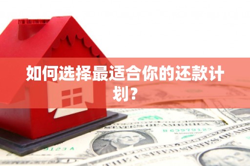 确山如何选择最适合你的还款计划？