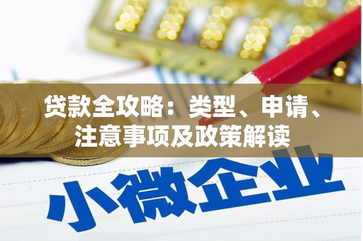 确山贷款全攻略：类型、申请、注意事项及政策解读