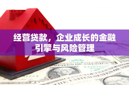 确山经营贷款，企业成长的金融引擎与风险管理