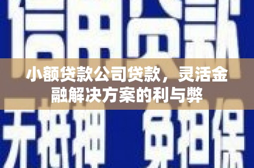 确山小额贷款公司贷款，灵活金融解决方案的利与弊
